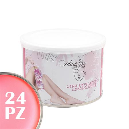 Pink Liposoluble Depilatory Wax 400ml 24pcs