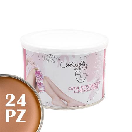Honey Liposoluble Depilatory Wax 400ml 24pcs