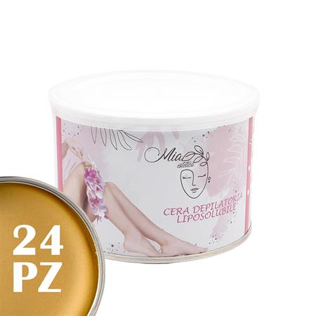 Micromica Liposoluble Depilatory Wax 400ml 24pcs
